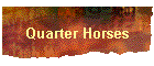 Quarter Horses